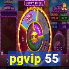 pgvip 55