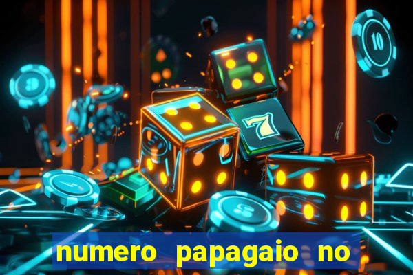 numero papagaio no jogo do bicho