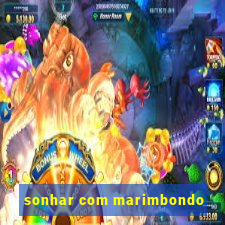 sonhar com marimbondo