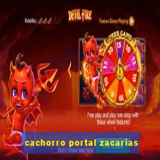 cachorro portal zacarias