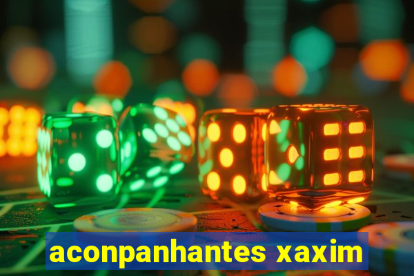 aconpanhantes xaxim