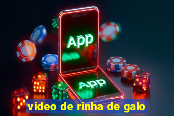 video de rinha de galo