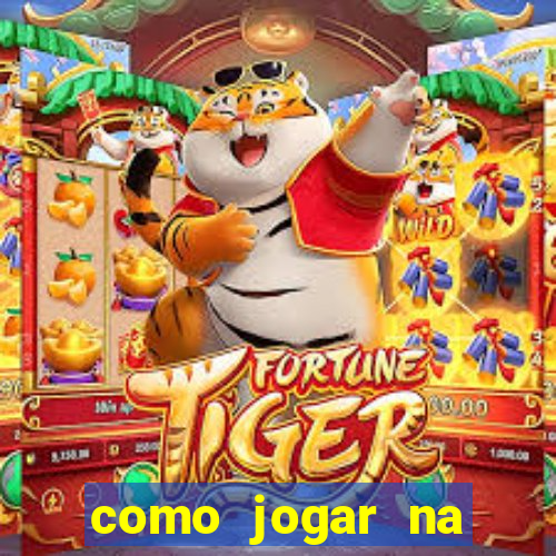 como jogar na lotinha do jogo do bicho