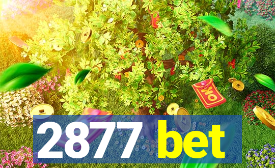 2877 bet