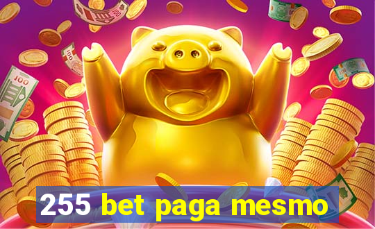 255 bet paga mesmo