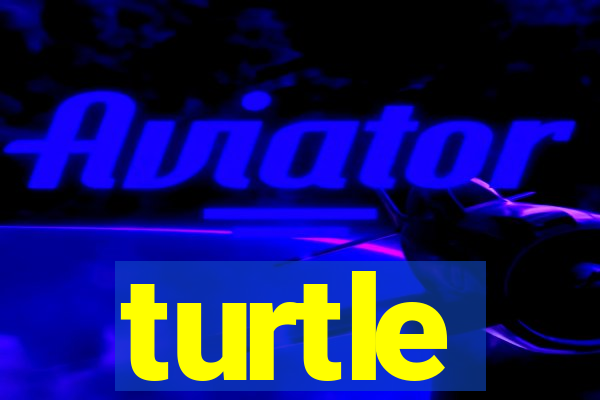 turtle-ty.com